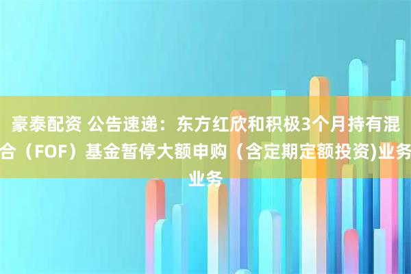 豪泰配资 公告速递：东方红欣和积极3个月持有混合（FOF）基金暂停大额申购（含定期定额投资)业务