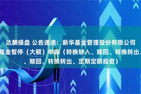 达麟操盘 公告速递:新华基金管理股份有限公司新华利率债基金基金暂停(大额)申购(转换转入、赎回、转换转出、定期定额投资)